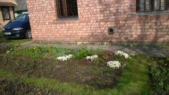 Наша дача - WP_20180429_004.jpg