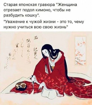 Любимая кошатинка  - 1525946681441_105.jpg