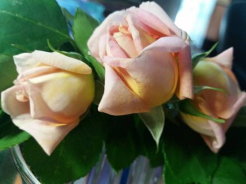 Шпильки, невидимки, бигуди, резинки... - 0-02-04-4acba1398da07aba58f05282c7fd1f9ced3dbd33ff9e722469c01c1a9ad26830_ee0887da.jpg