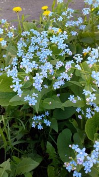 А что у нас с погодой? -6 - 20180607_095210.jpg