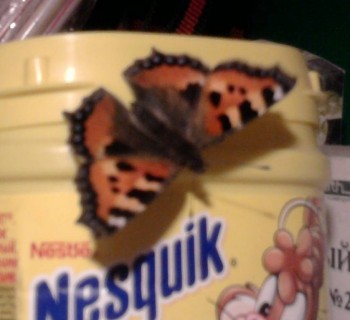 Флудилки-4 - Фото1162.jpg