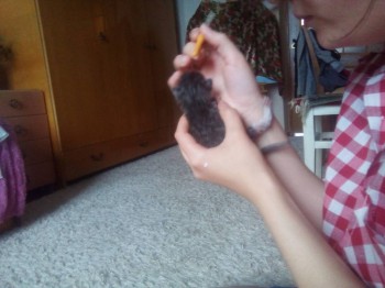 Любимая кошатинка  - IMG_20180710_180609.jpg