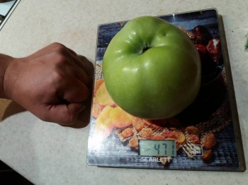 Наша дача - 0-02-05-c8acbd9d16d3a931362ad046e82cb2eff2f527eab7da86c2703b6dbe4b36f35a_2a558f5f.jpg