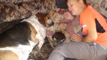 У меня теперь три-кота-ж  - DSC04829.JPG