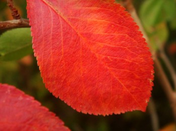 Про аватарки обсуждения -3 - фото 067.jpg