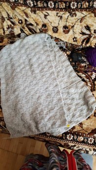 Быстрее моли - 8 - 20180910_121730.jpg