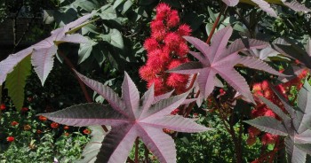 Прошу молитв о ребенке - na_grani_zhizni_i_smerti.jpg