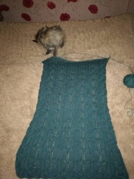 Быстрее моли - 8 - IMG_20180924_112632.jpg