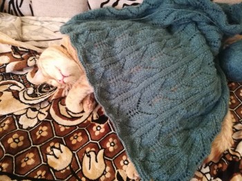 Быстрее моли - 8 - IMG_20180921_152945.jpg