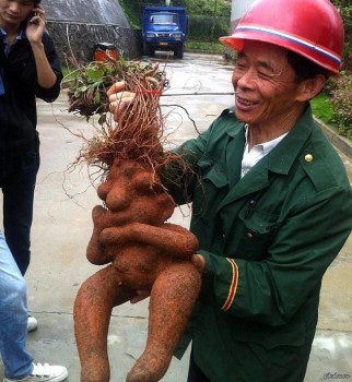 Фотозагадки - 42474186_10156973799784396_3949051295700090880_n.jpg