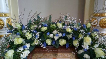 а здесь белые