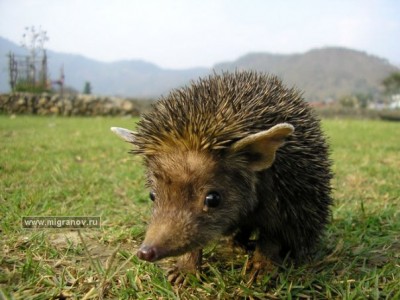 АВАТАРКИ банк аватарок и картинок для них  - x_ea7b2233.jpg