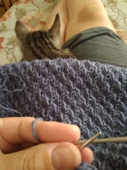 Любимая кошатинка  - IMG_20181009_143029.jpg