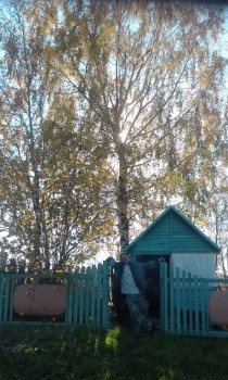 А что у нас с погодой? -6 - IMG_20181013_134851.jpg