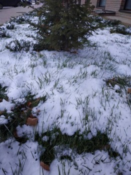 А что у нас с погодой? -6 - IMG_20181030_163811.jpg