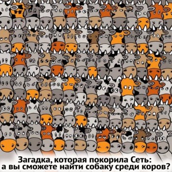 Фотозагадки - C2D78757-5B46-453A-B167-6B3664EB2EDD.jpeg