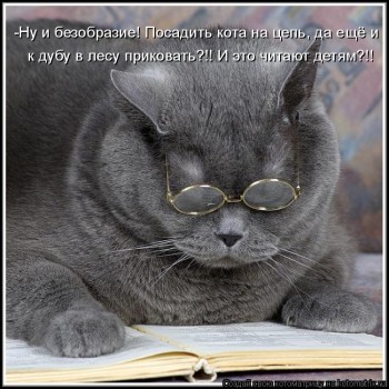 Любимая кошатинка  - 1033595.jpg