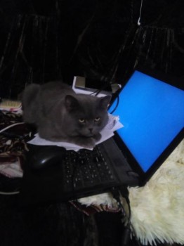 Фото темноватое, но смысл понятен.))))))