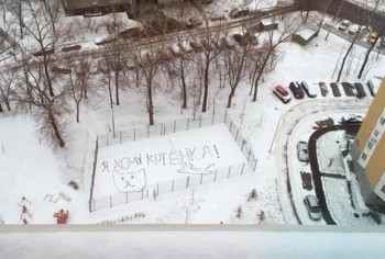 Любимая кошатинка  - 28549815-image-crop-472x318-1543410336-728-bb15c898ff-1543415997.jpg