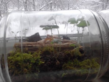 Поделки, карвинг и другое - 20181213_102225.jpg