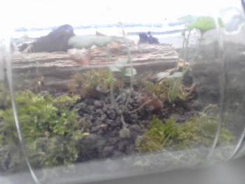 Поделки, карвинг и другое - 20181213_102216.jpg