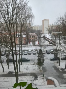 Любимая кошатинка  - WP_20190101_12_07_38_Pro.jpg