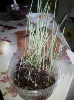 Сельское хозяйство по полной - IMG_20190124_162717.jpg