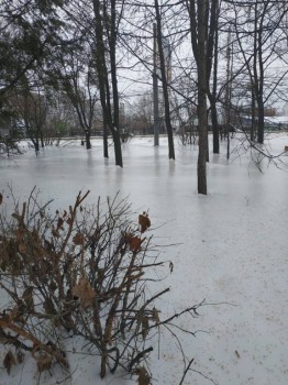 А что у нас с погодой? -6 - IMG_20190131_150144.jpg