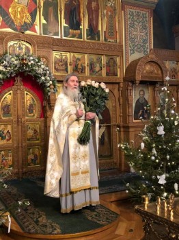 О ЗДРАВИИ - d591a077-88a2-422b-a9b7-76759512d743.jpg