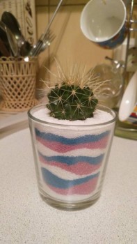 Наши цветы 2 - OLec-YtEGgQ.jpg