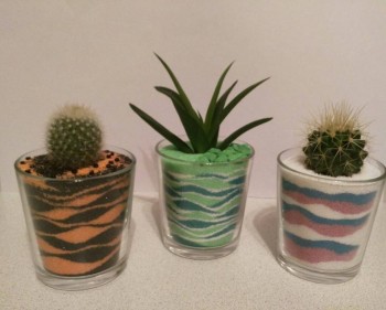 Наши цветы 2 - lsn2qzB5a9w.jpg