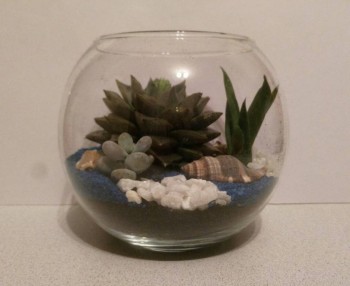 Наши цветы 2 - mpA-zejI574.jpg