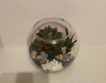 Наши цветы 2 - arXRnDtadWY.jpg