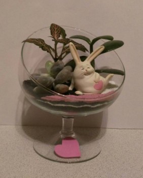 Наши цветы 2 - 0VFJfxg0qK8.jpg