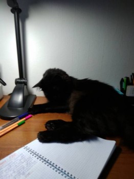 Несмотря на мой запрет, ручку хочется потрогать)))