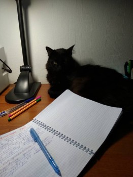 Любимая кошатинка  - IMG_20190302_173455.jpg