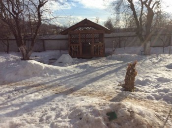 5 часов вечера