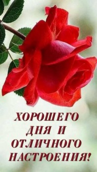 Доброе утро  - IMG-20190320-WA0000.jpg