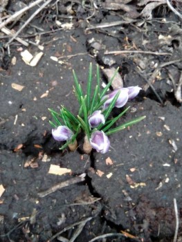 А что у нас с погодой? -6 - IMG_20190408_175623.jpg