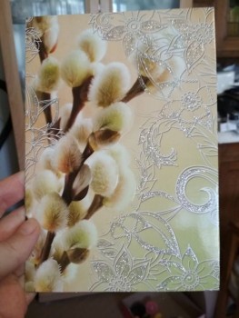 Обмен открытками к Пасхе - IMG_20190426_093458.jpg