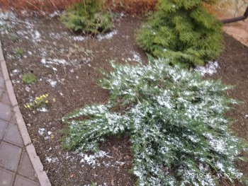 А что у нас с погодой? -6 - IMG_20190503_173654.jpg