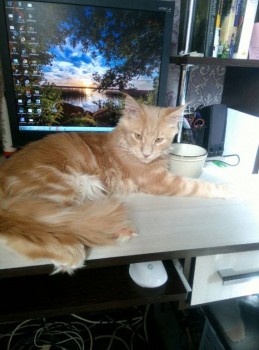 Ну и обнимашки с бокалом - это все наше.