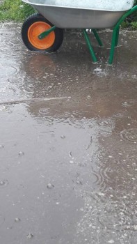 вот прислали