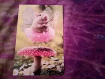 Обмен открытками к Пасхе - P90607-165749.jpg