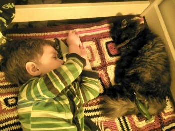 Любимая кошатинка  - IMG_20190616_223556.jpg