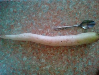 Наша дача - IMG_20190624_161212.jpg