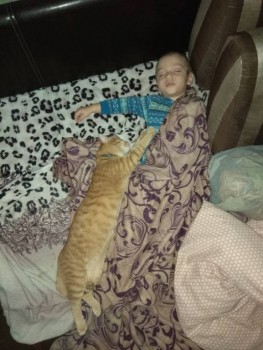 Любимая кошатинка  - IMG_20190404_233942.jpg