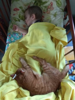 Любимая кошатинка  - IMG_20190512_135112.jpg