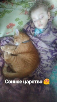 Любимая кошатинка  - IMG_20190215_134423_952.jpg