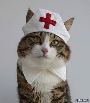 Любимая кошатинка  - db1ad9d8b4f0a291c816b5a6353def45.jpg